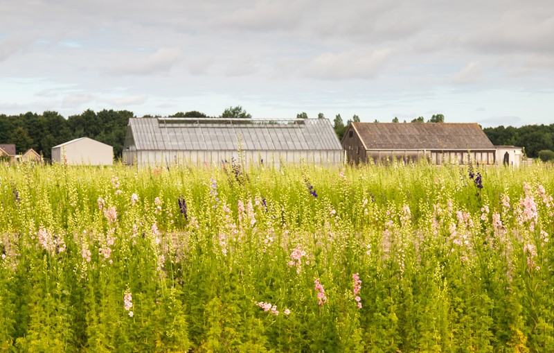 Bestemmingswijziging levert belastbare winst op